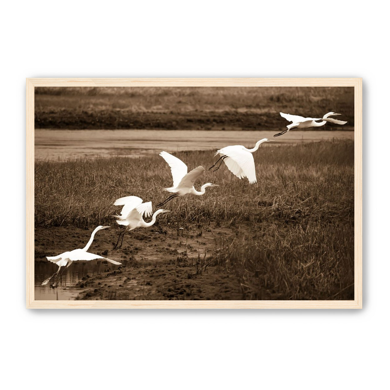 In Flight
