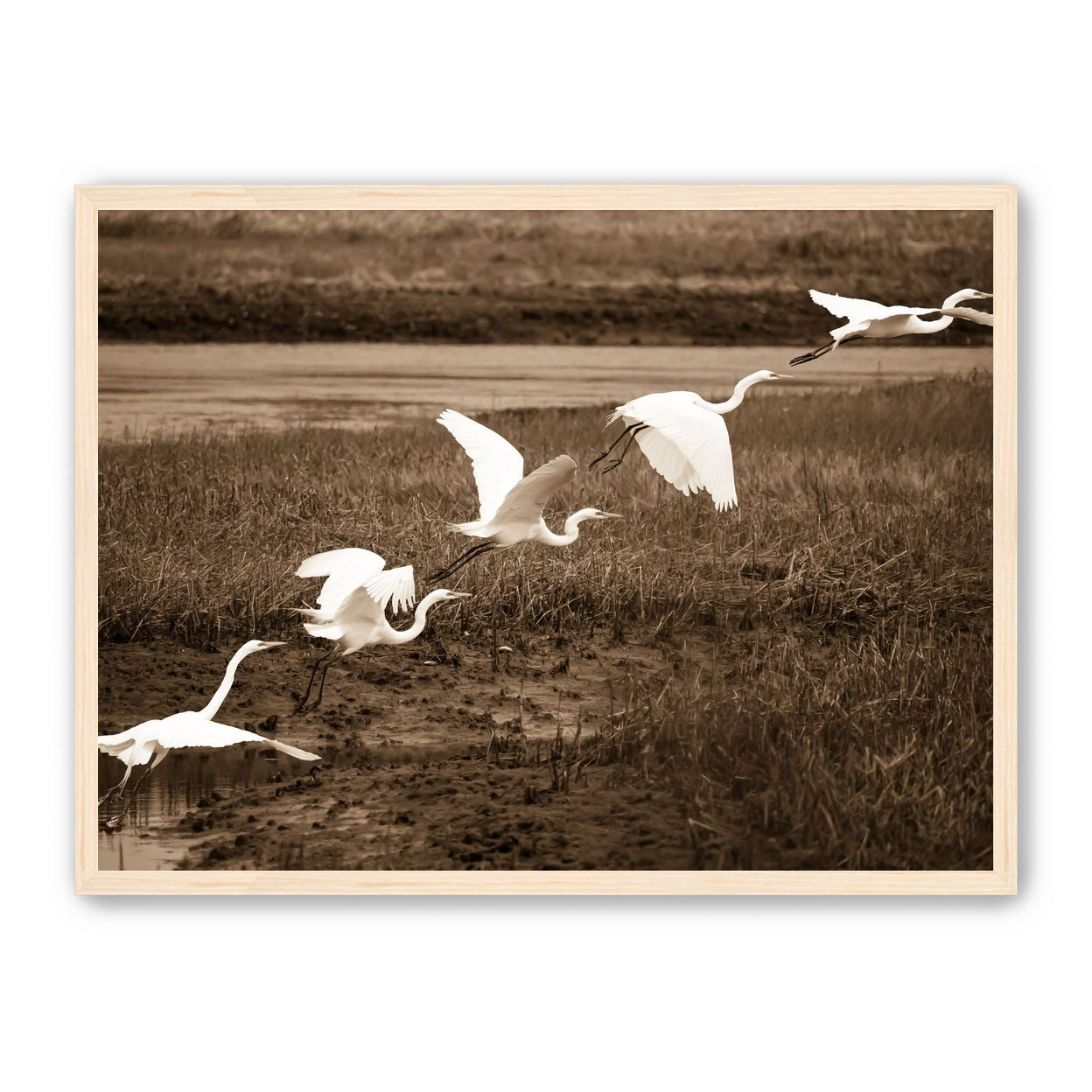 In Flight