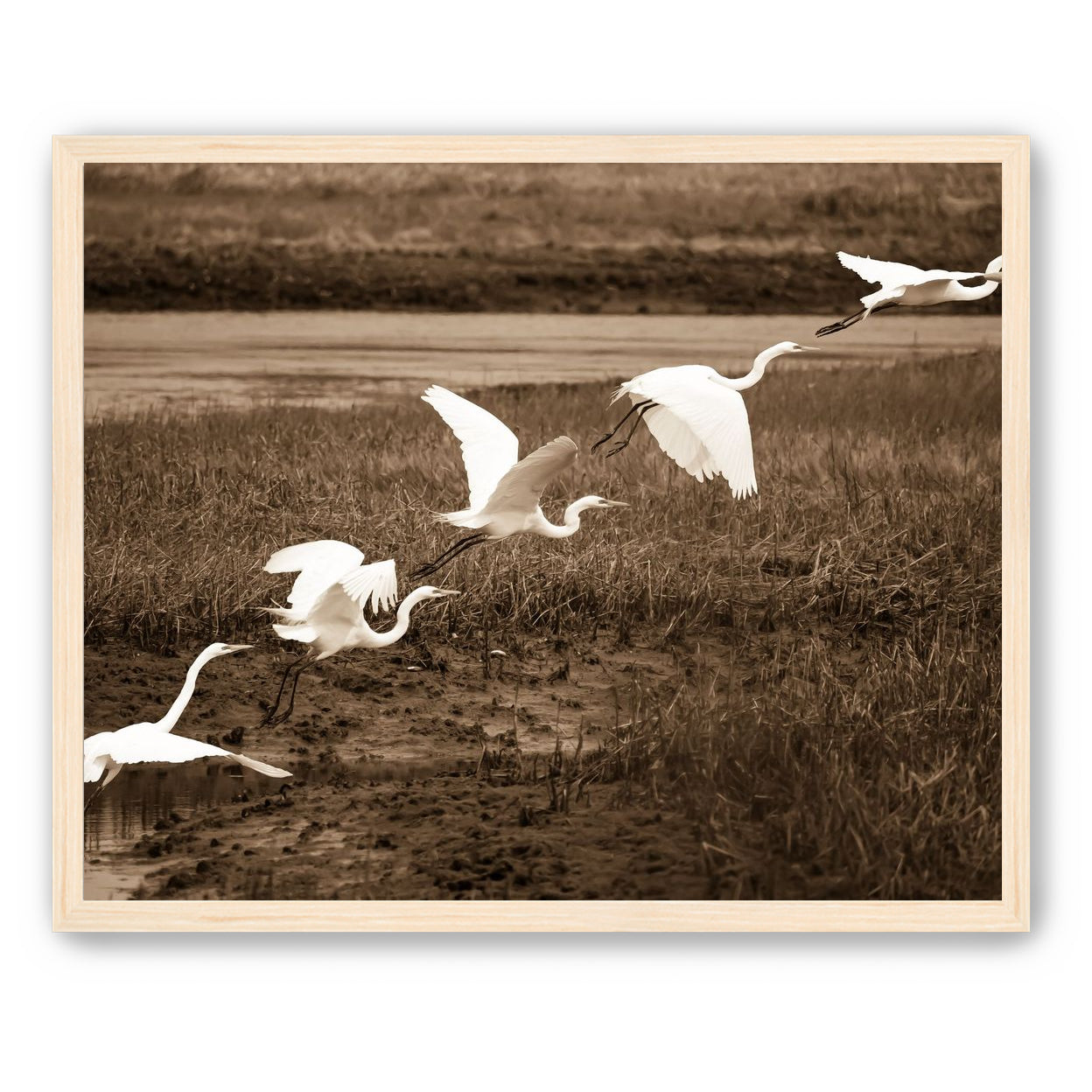 In Flight