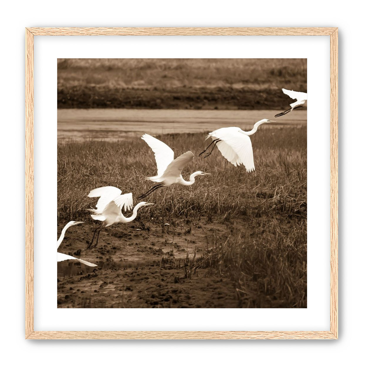 In Flight