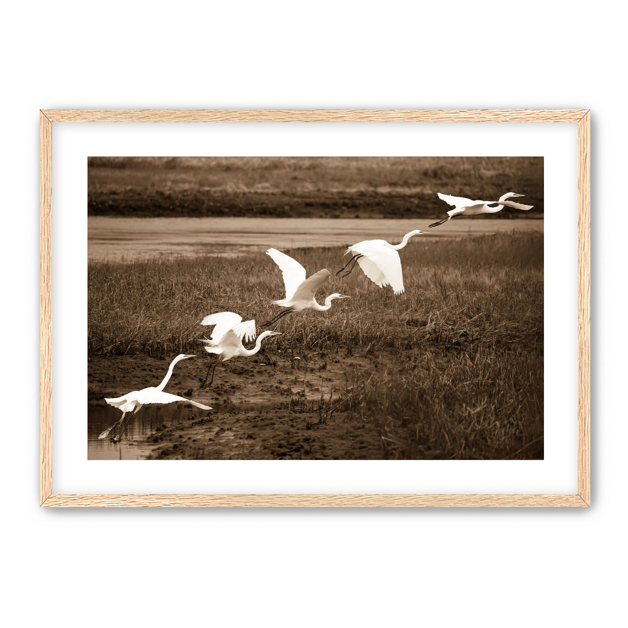 In Flight