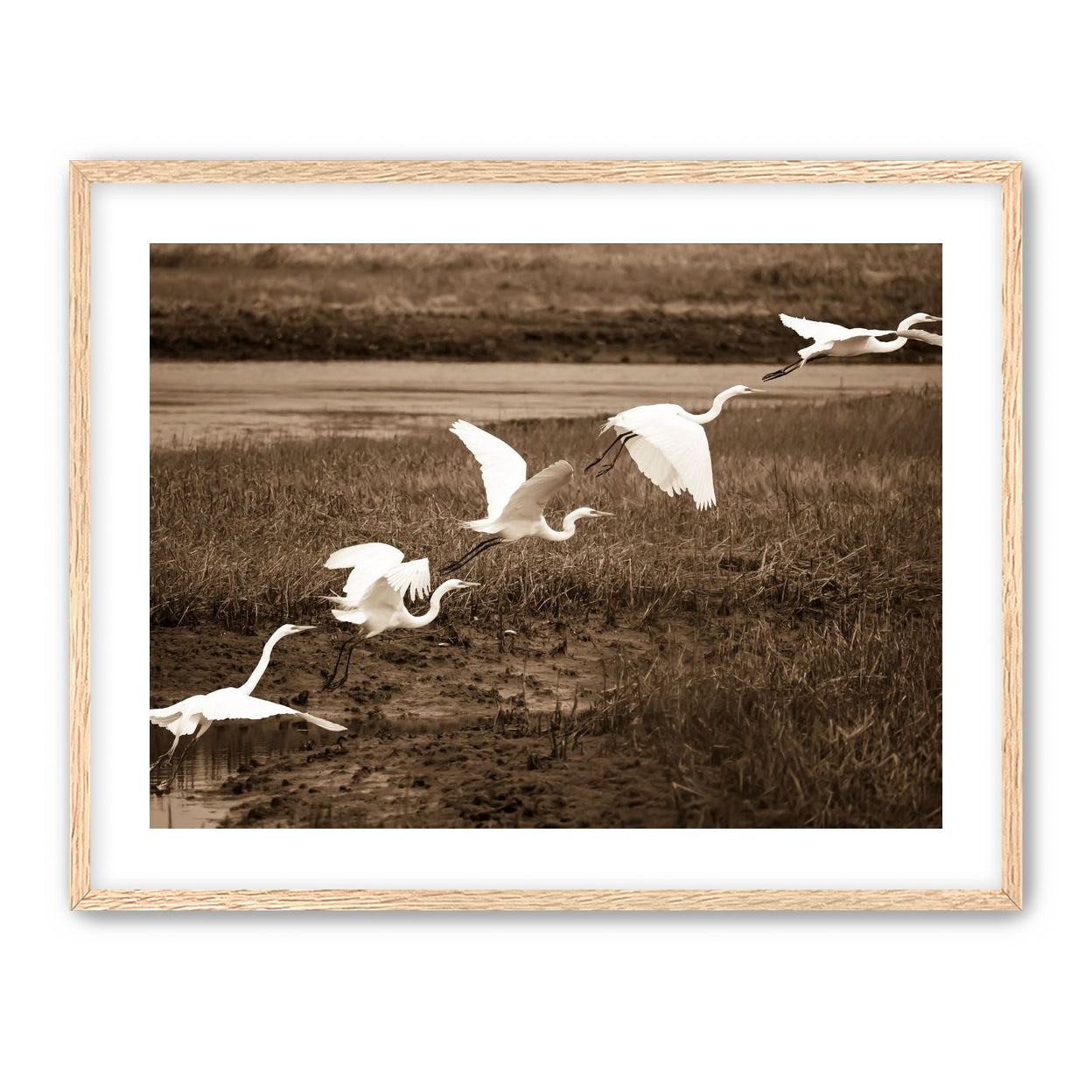 In Flight