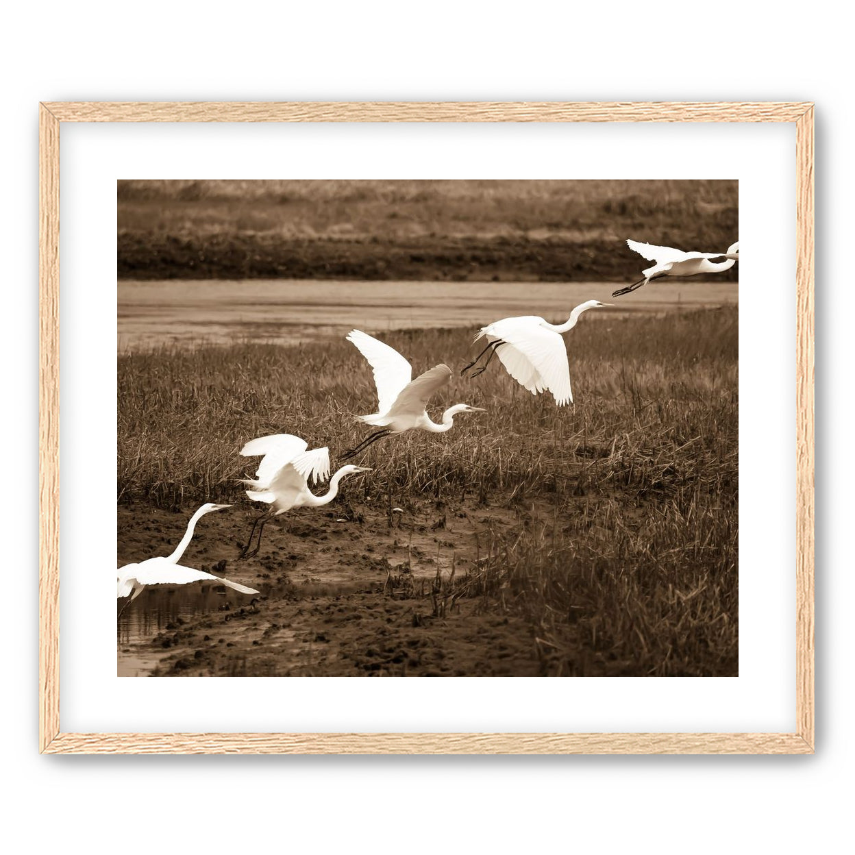 In Flight