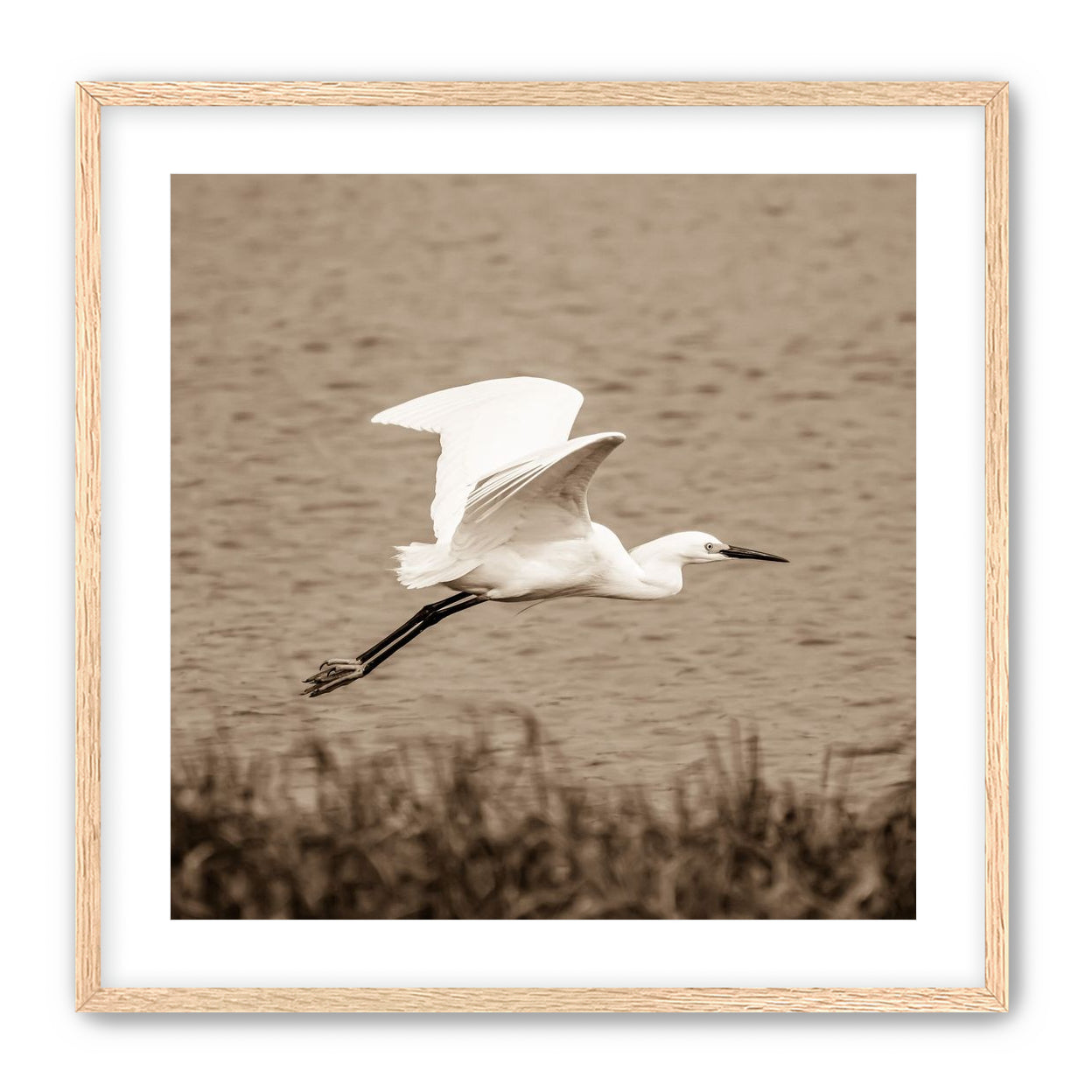Egret