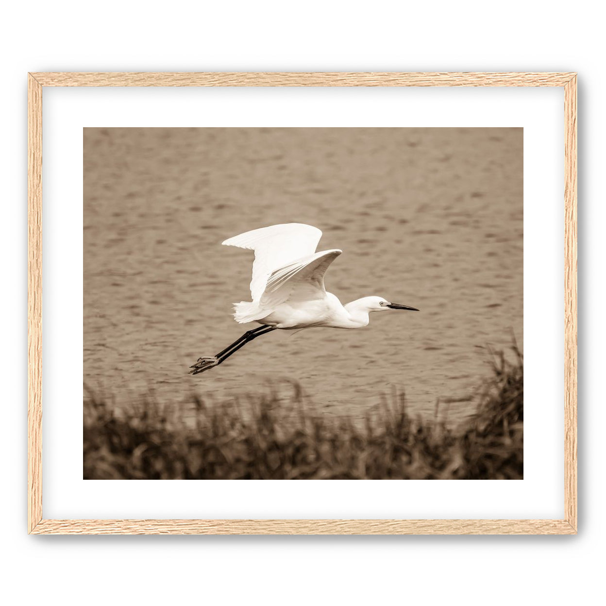 Egret