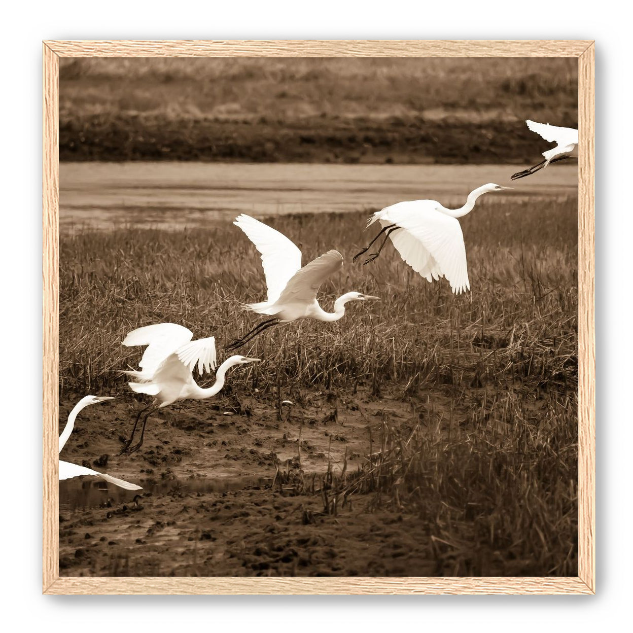 In Flight
