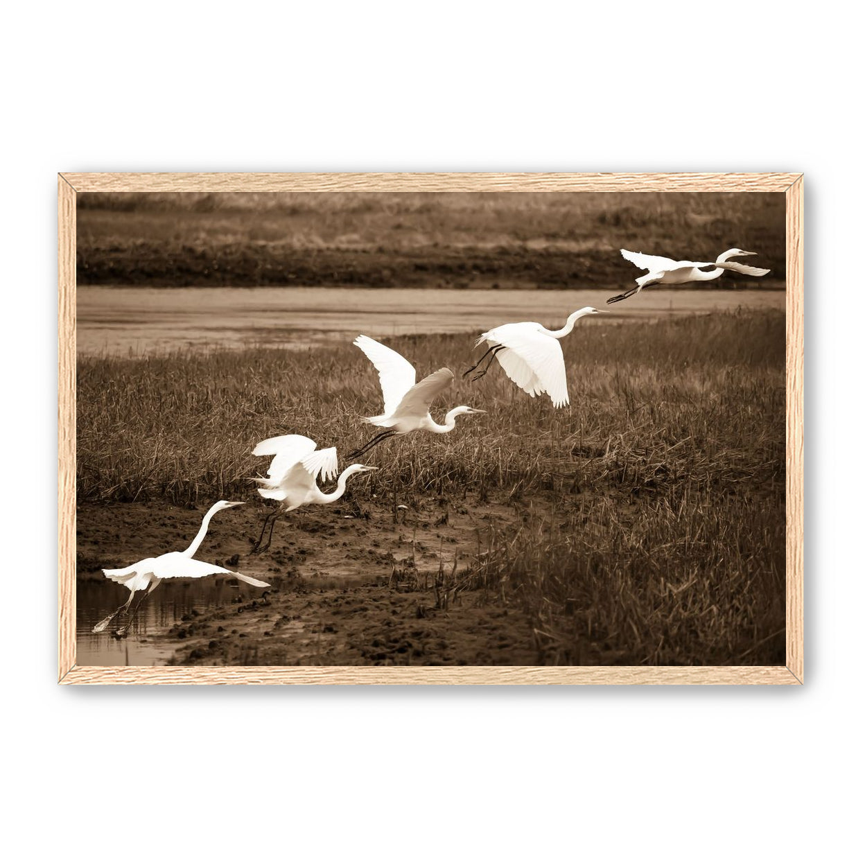 In Flight