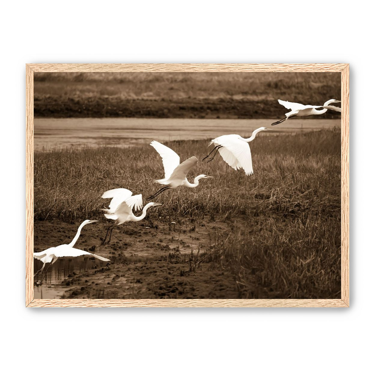 In Flight