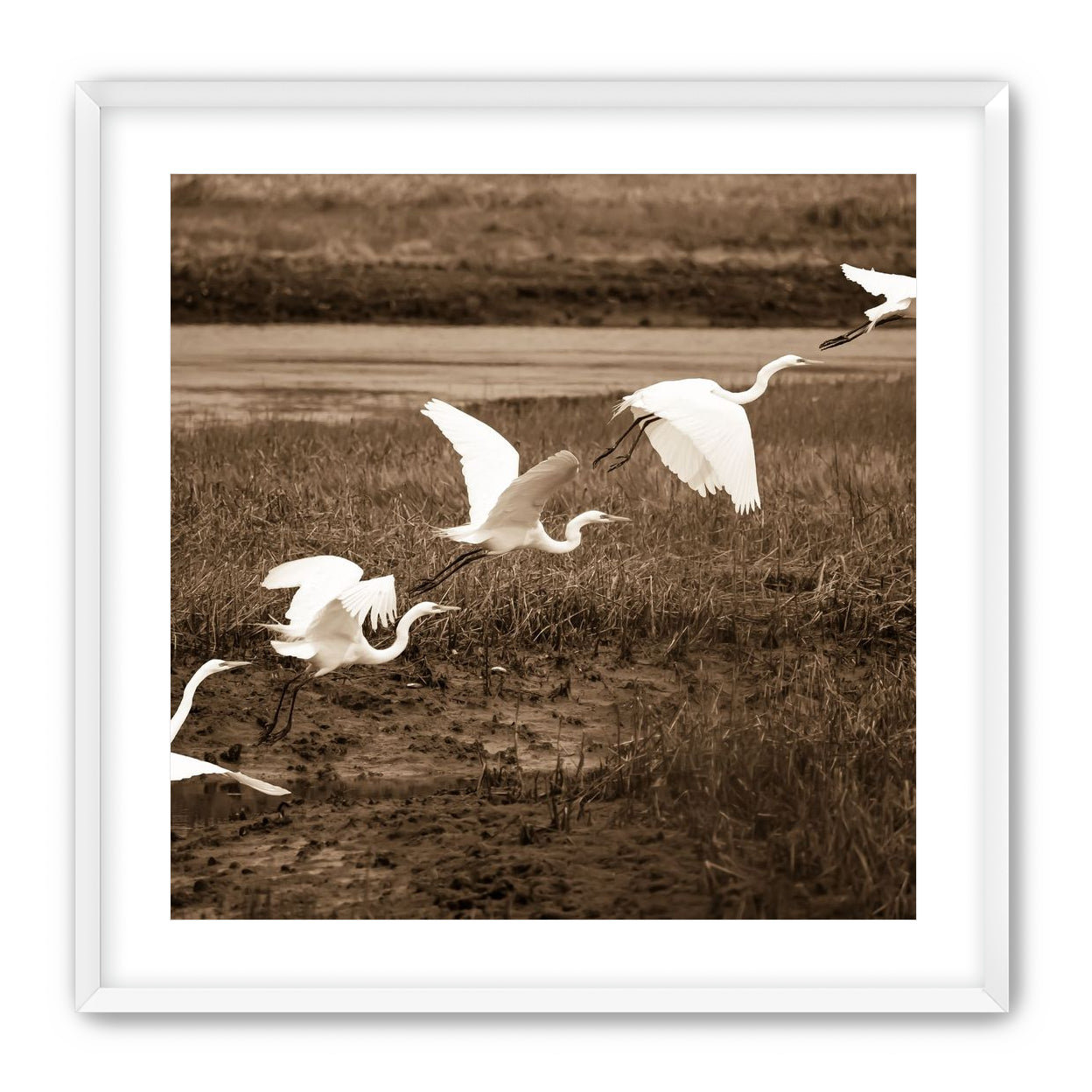In Flight