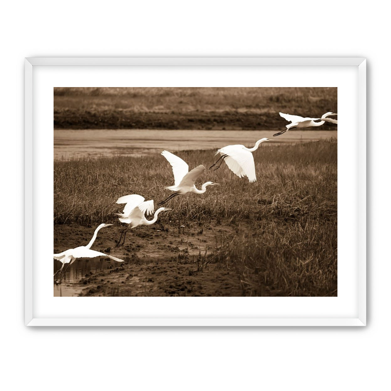 In Flight
