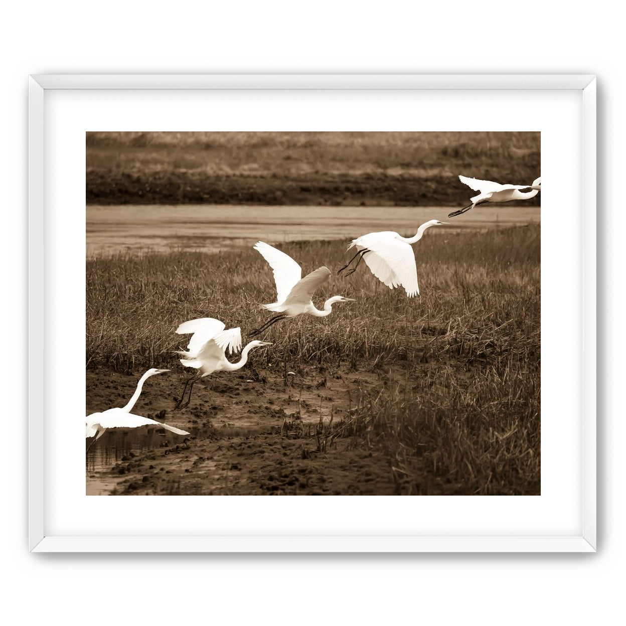In Flight