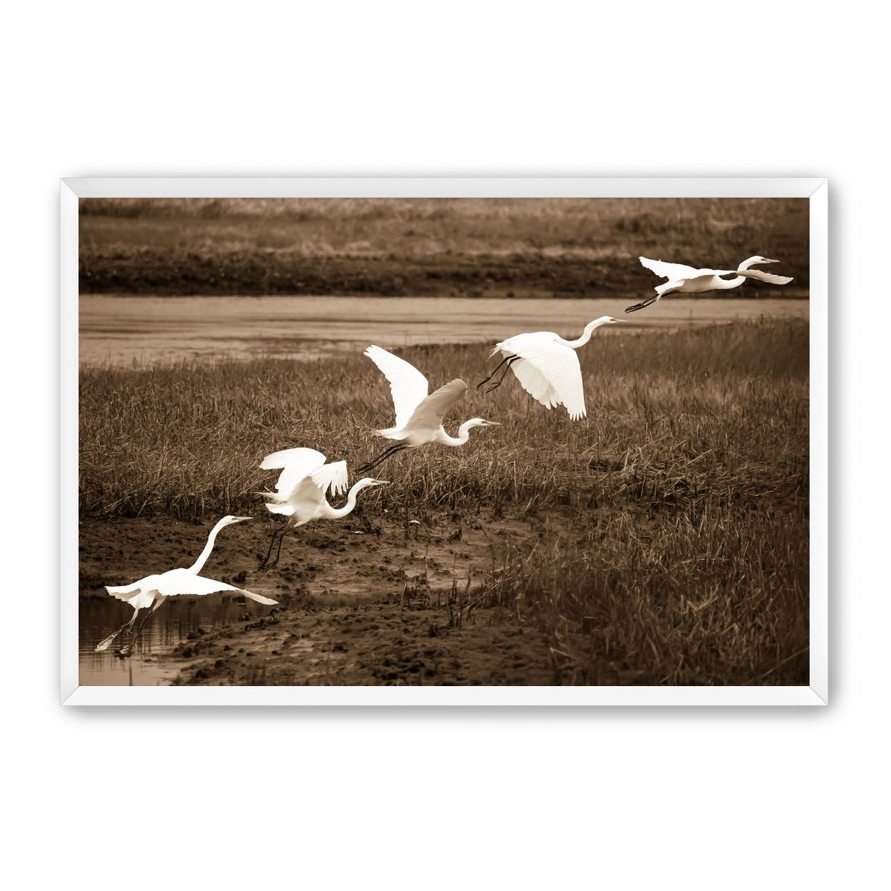 In Flight