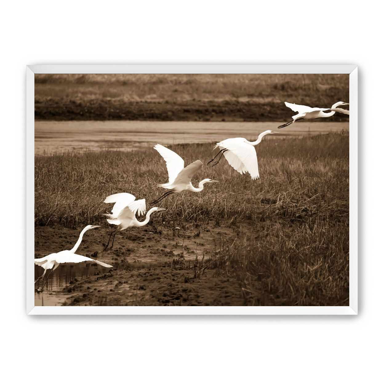 In Flight