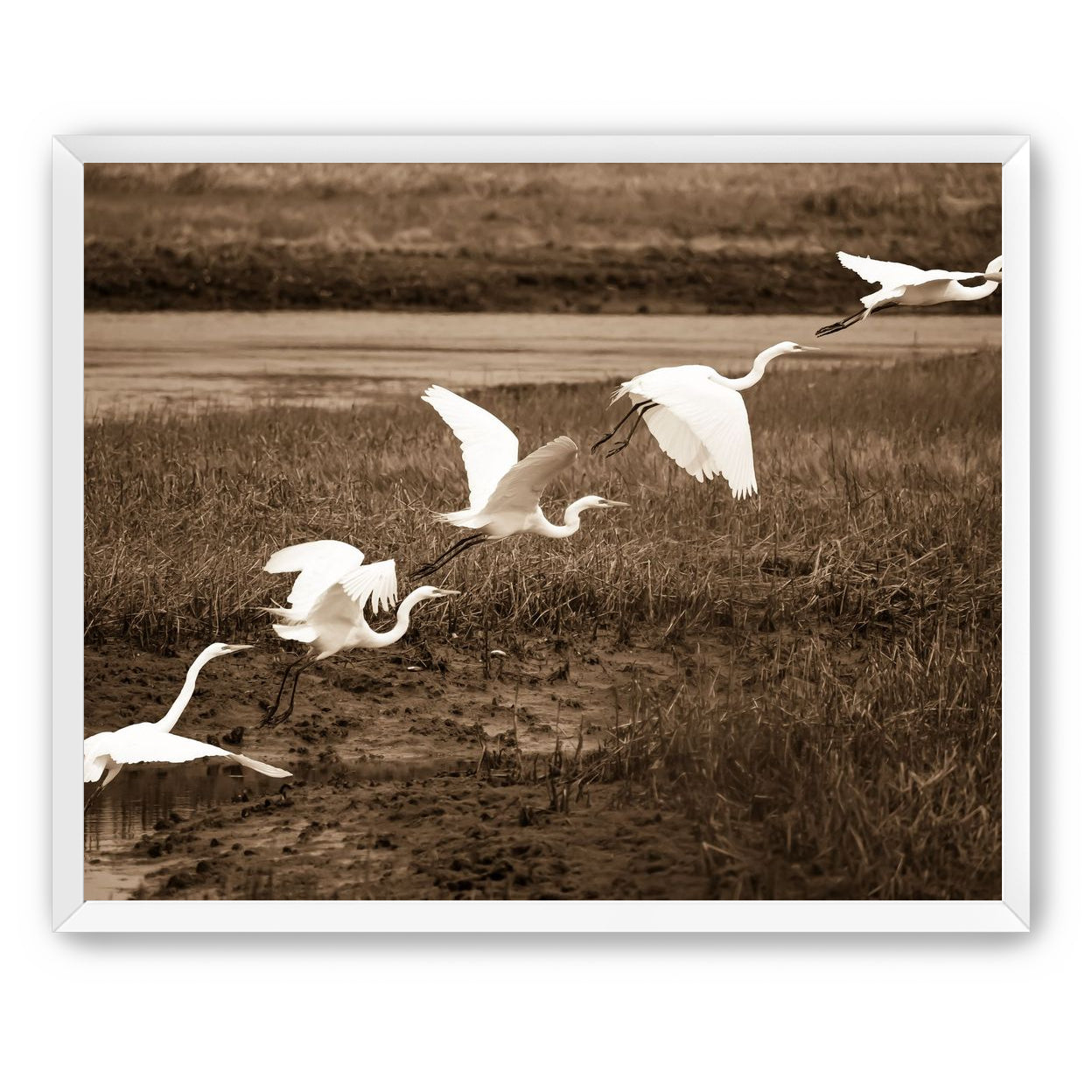 In Flight