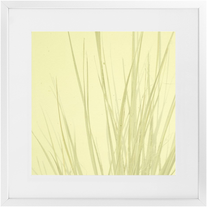 Imperfect Elegance No. 7