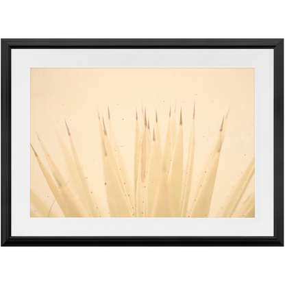 Imperfect Elegance No.4
