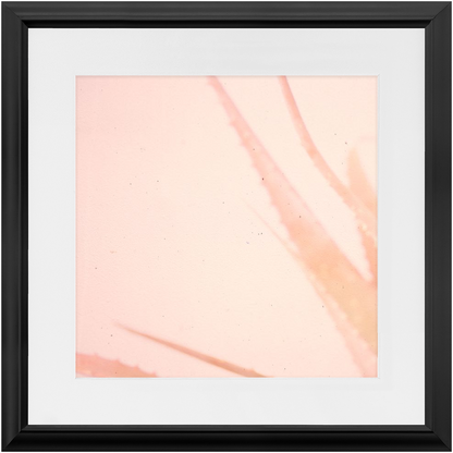 Elegant Imperfections No.1