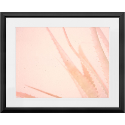 Elegant Imperfections No.1