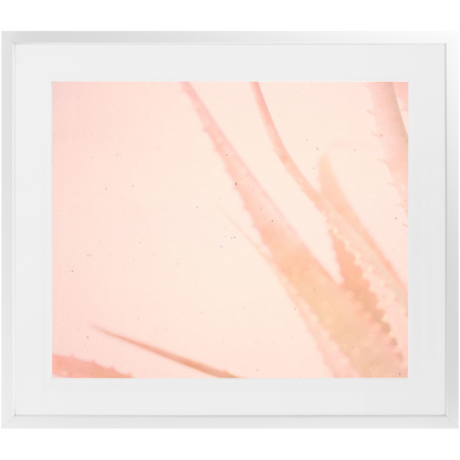 Elegant Imperfections No.1