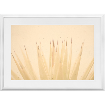 Imperfect Elegance No.4