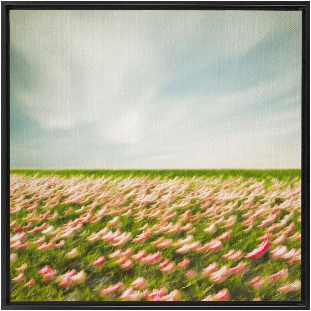 Tulip Field