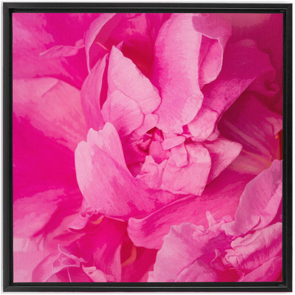 Peony Graphic 1