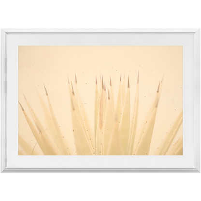 Imperfect Elegance No.4