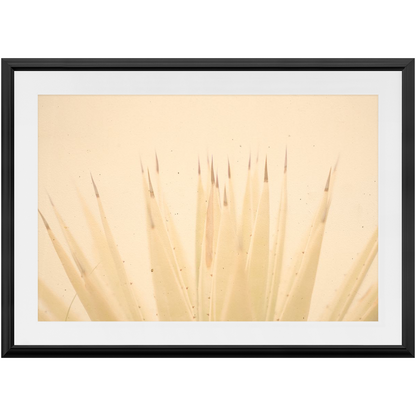 Imperfect Elegance No.4
