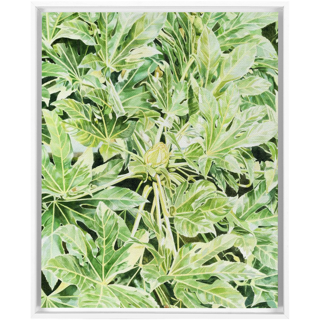 &quot;Japonica&quot;(Variegata)