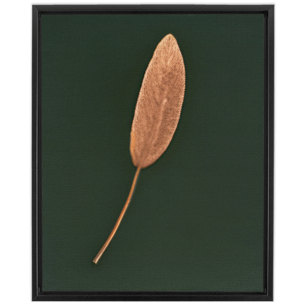 Sage Leaf