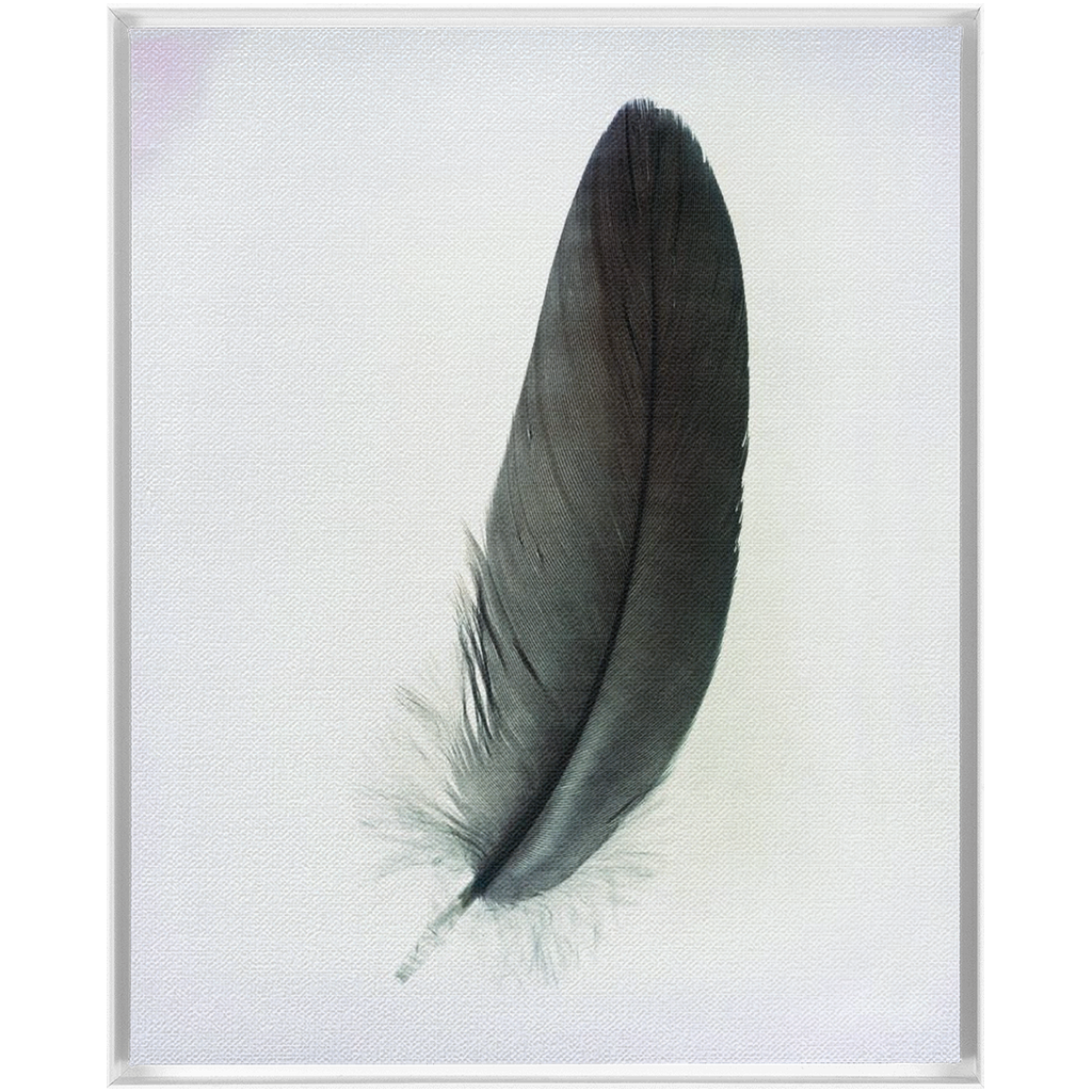 Feather Study 