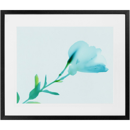 Polaroid Colour Study 