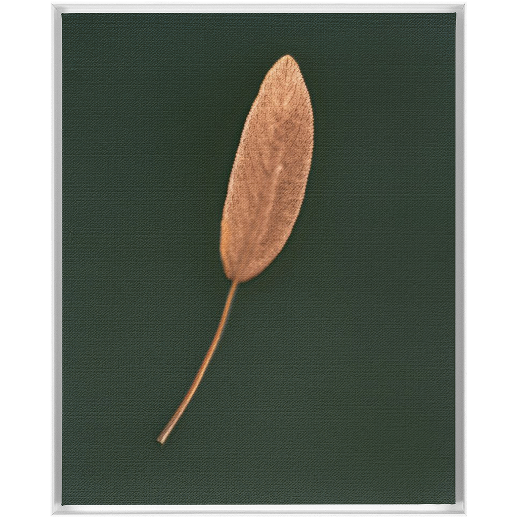 Sage Leaf