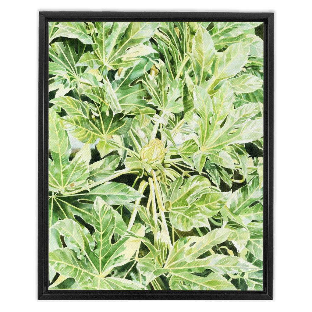 &quot;Japonica&quot;(Variegata)