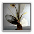 1x1_white