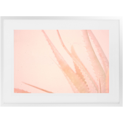 Elegant Imperfections No.1