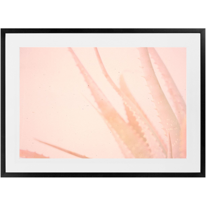 Elegant Imperfections No.1