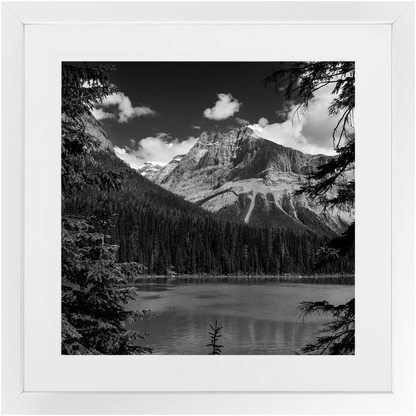 Lake, Trees &amp; Mountains