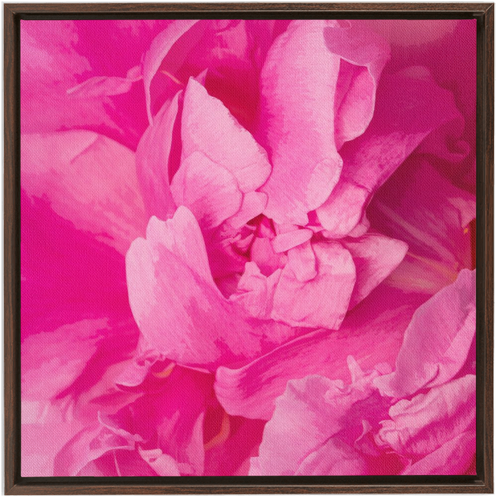 Peony Graphic 1