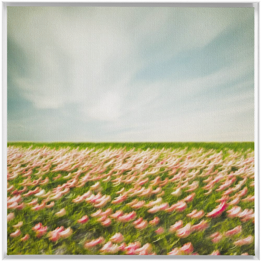 Tulip Field