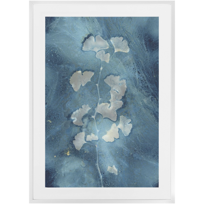 Ginkgo