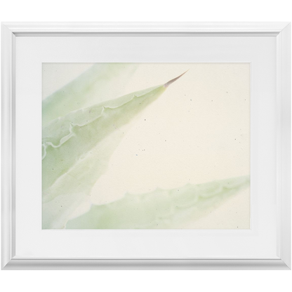 Imperfect Elegance No. 6