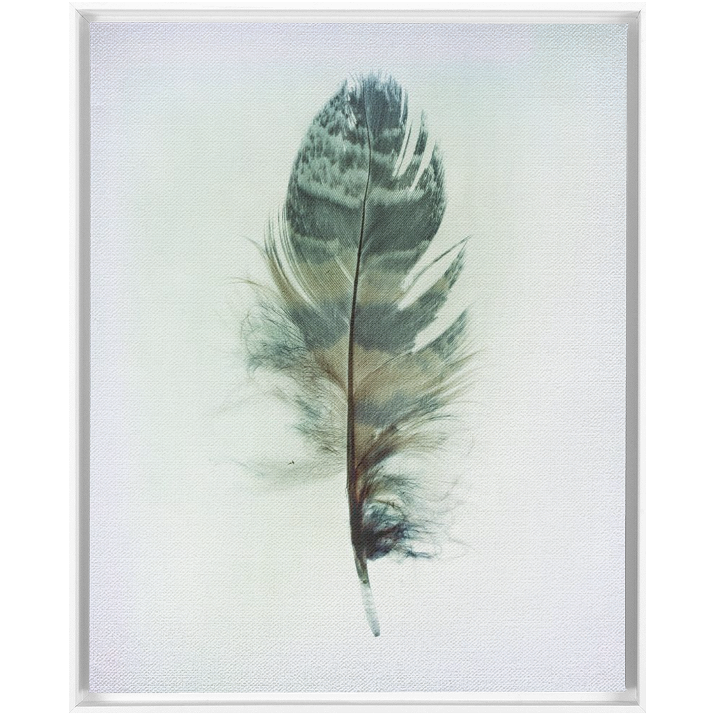 Feather Study 