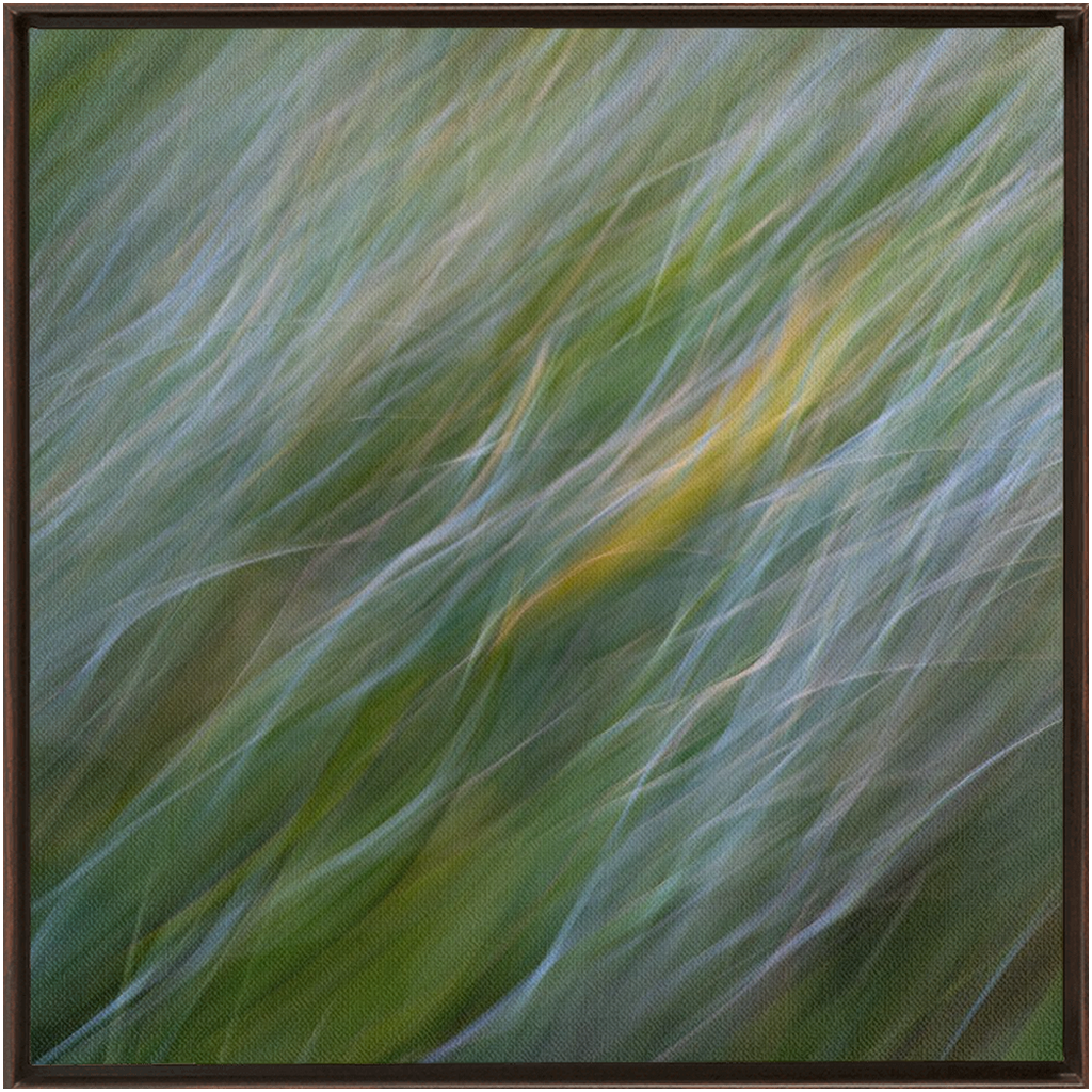 Dune Grass Penstrokes