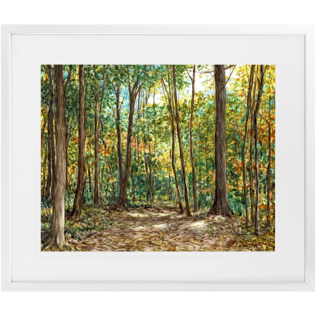 Wooded Path