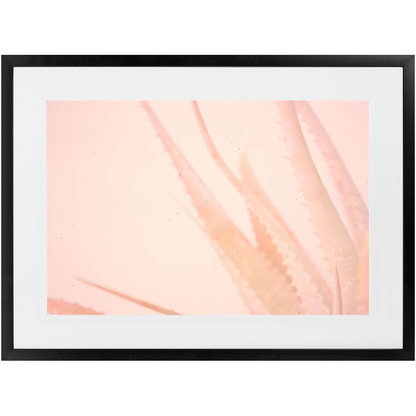 Elegant Imperfections No.1