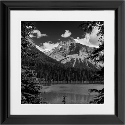 Lake, Trees &amp; Mountains