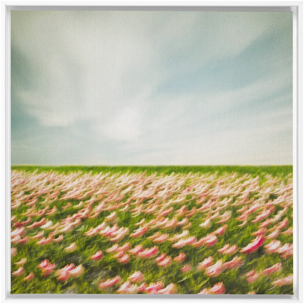 Tulip Field