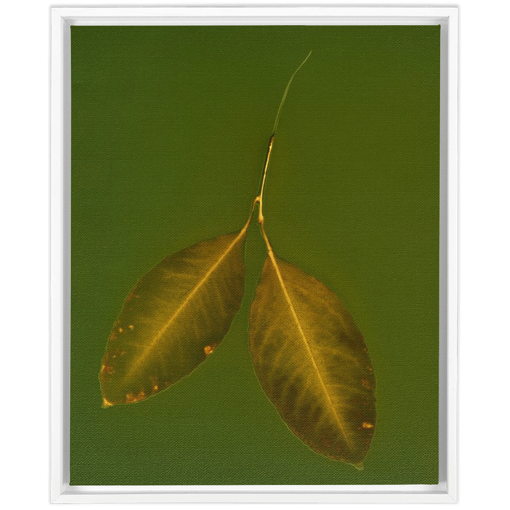 Lemon Leaves