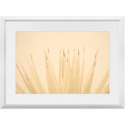 Imperfect Elegance No.4